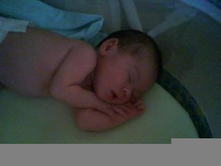 the new addition!